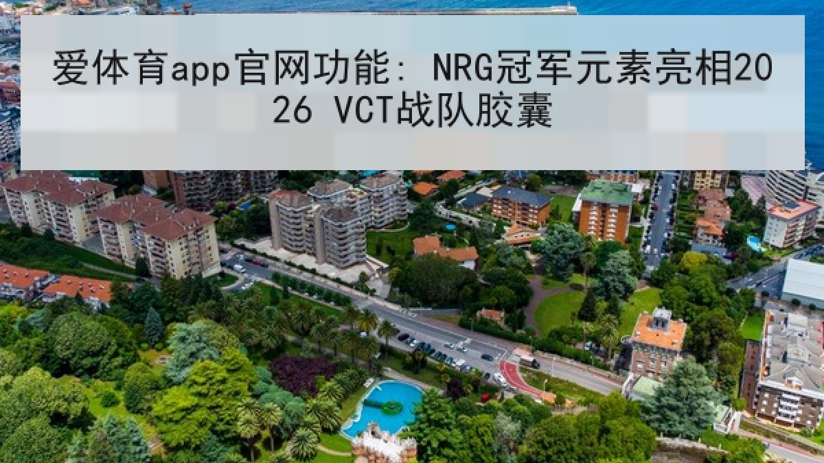 爱体育app官网功能: NRG冠军元素亮相2026 VCT战队胶囊