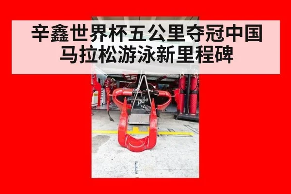 辛鑫世界杯五公里夺冠中国马拉松游泳新里程碑